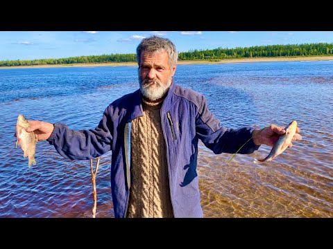 Видео: Отшельник Тимофей ( мой друг ) угостил свежими карасиками