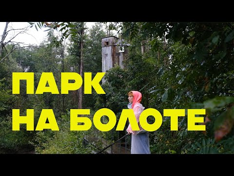 Видео: Ландшафтный парк в Подмосковье с деревянными арт-объектами