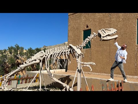 Видео: Осорхона дар Ҷида бинед пушаймон намешед