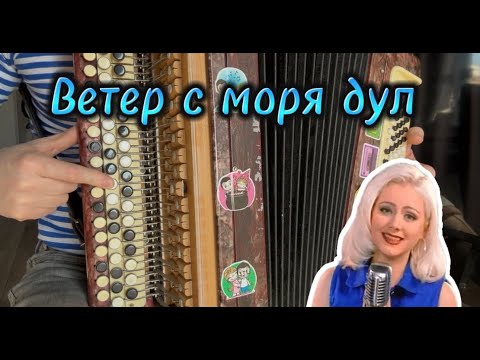 Видео: Ветер с моря дул! Учимся играть на баяне!!Разбор для новичков!