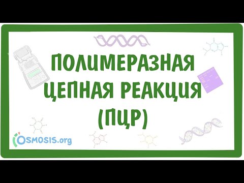 Видео: ПЦР - полимеразная цепная реакция и ПЦР с обратной транскрипцией