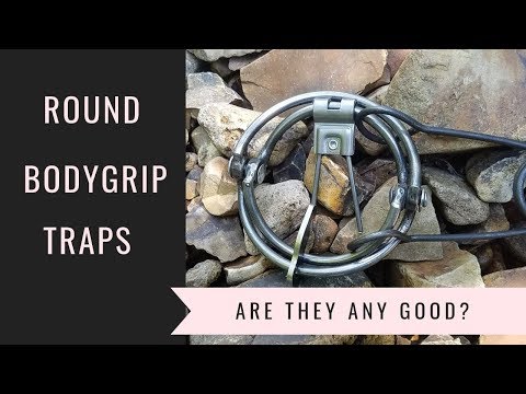 Видео: Обзор ловушек RBG Round Body Grip