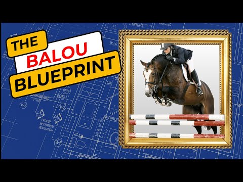 Видео: Секреты популярности BALOU du ROUET как производителя лошадей для охоты и прыжков.