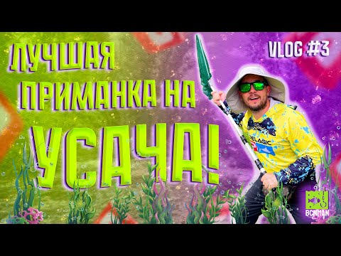 Видео: Лучшая приманка на УСАЧА! Рыбалка на спиннинг в Испании VLOG#3 #fishing #spinning #рыбалка #спиннинг