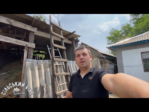 Видео: Вага кроликів в 2 місяці🐇🐰Прибавлення на фермі🫡 Кролі як бізнес💵💸