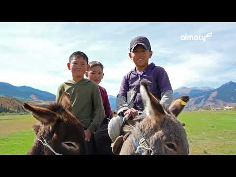 Видео: Жерұйық: Картоптың отаны - Нарынқол