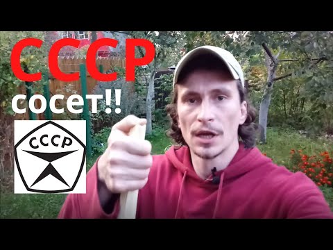 Видео: ДАЧНЫЙ ОБЗОР.  Советский пылесос "Вихрь". 1974 г.