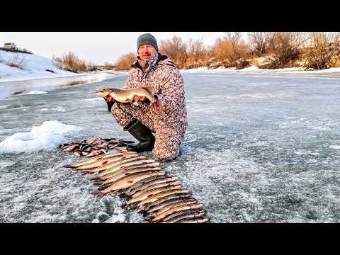 Видео: ОХ...ЕТЬ ЁКЛМН РЫБА ВЫЛАЗИТ ИЗ ЛУНОК НЕ УСПЕВАЛИ ТАСКАТЬ ЩУК. Рыбалка на хапуги в марте Рыбалка 2025