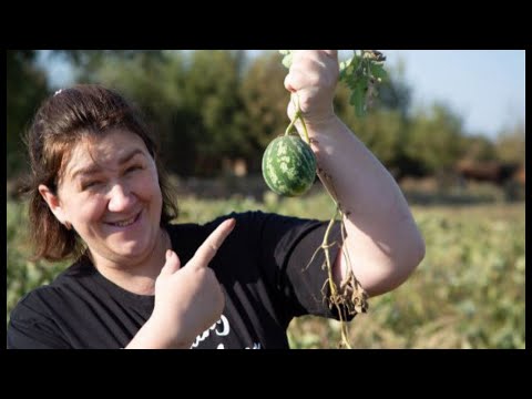 Видео: Туровская яжеНемать/кто виноват в проблемах со здоровьем у сына мать или учителя?