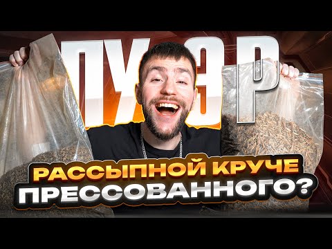 Видео: Почему рассыпной пуэр круче прессованного? | Чайная мастерская — лучший китайский чай