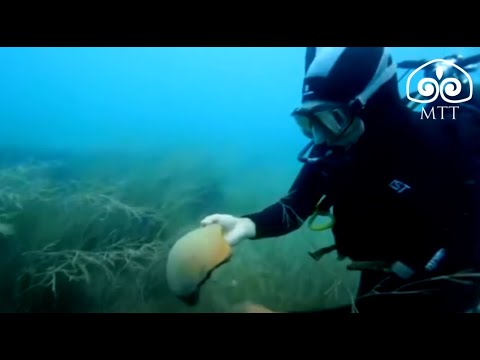 Видео: Көлдөгү көмүскө шаар  / Байыркынын издери