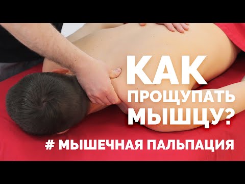 Видео: Как прощупать мышцу? Мышечная пальпация
