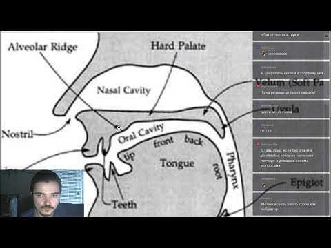 Видео: Вебинар по фонетике / Лингвистика от Марго