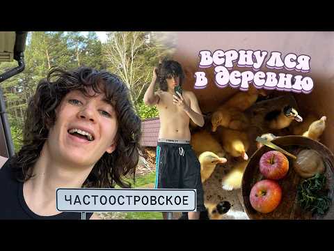 Видео: уехал в родное село (баня потом)