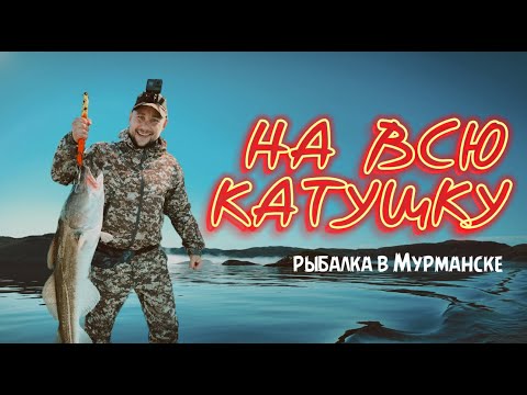 Видео: Ура - Губа и треска
