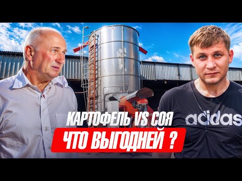 Видео: КартофельVS Соя. Что выгоднее . Подводим итоги.