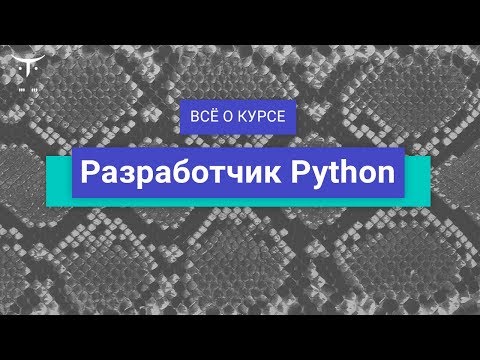Видео: Разработчик Python // День открытых дверей OTUS