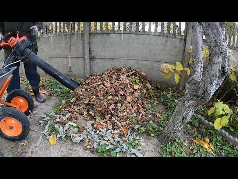 Видео: садовый пылесос black&decker BEBLV 301-QS в работе