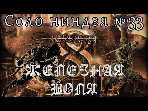 Видео: Wizardry 8 СОЛО Ниндзя Железная воля №33