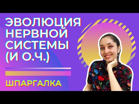 Видео: Нервная система — шпаргалка. ЦТ, ЕГЭ, ЗНО, ЕНТ