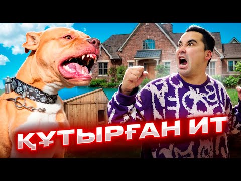 Видео: АПКЕШКА И БРАТИШКА | 29-сезон | ҚҰТЫРҒАН ИТ😱