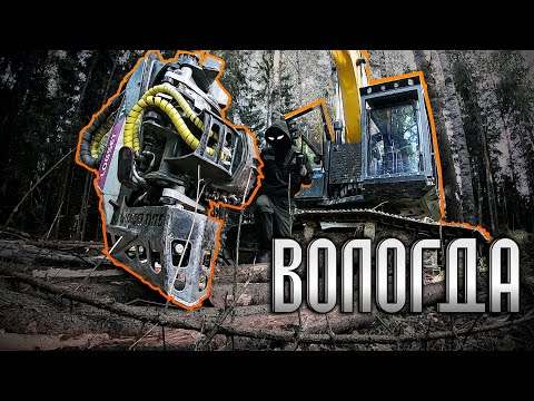 Видео: Вологда. Харвестер Sany 245F с х/г Logset TH75 | ОперУпалНамоченный 41-я серия