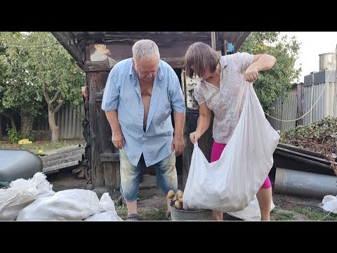 Видео: КАРТОПЛЯ 20 грн Ролик важкий, слабонервним не дивитися!