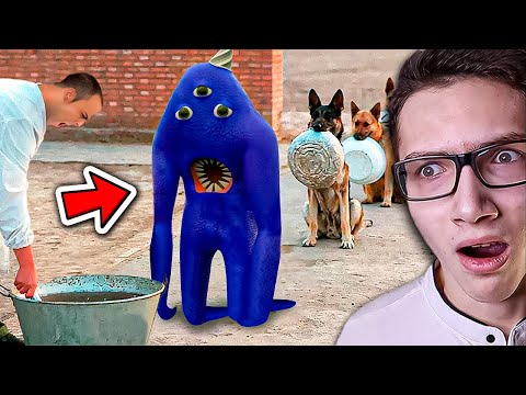 Видео: 😱 Самые ЛУЧШИЕ Анимации GARTEN of BANBAN.. (СБОРНИК)