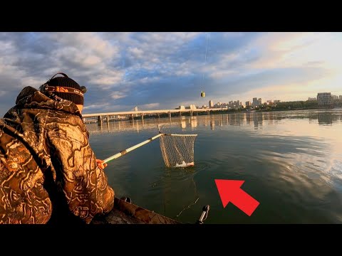 Видео: НАЧАЛО СЕНТЯБРЯ ВЫДАЛО РЫБУ! Попали на КЛЁВ с ЛОДКИ в РЕЧНОЙ ЯМЕ! Рыбалка на донки 2025 