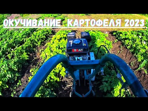 Видео: Окучивание КАРТОШКИ Мотокультиватором КРОТ по высокой Ботве! Огород в ДЕРЕВНЕ 2023!