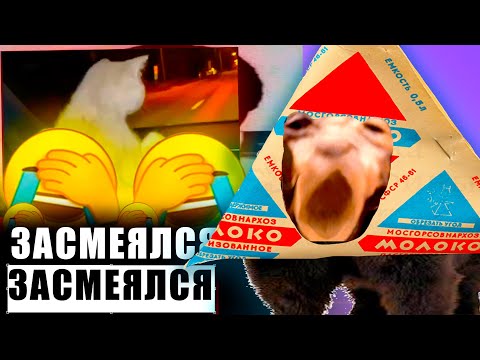 Видео: DAWG СМОТРИТ UNUSUAL MEMES COMPILATION V334