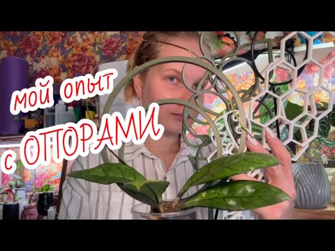 Видео: МОЙ ПЕРВЫЙ ОПЫТ с опорами / оформляю хойки и задаюсь вопросами..