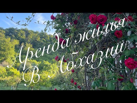 Видео: Жилье в Абхазии на лето😎/Что обещает гостевой дом?!/ Прогноз погоды на лето в Абхазии!🌞🏄‍♀️🏝️