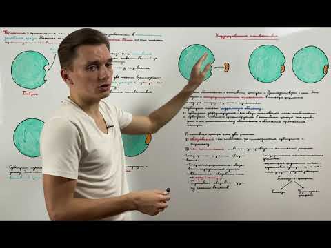 Видео: Строение активного центра. Теории взаимодействия фермента и субстрата
