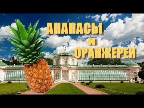 Видео: Ананасы и оранжереи