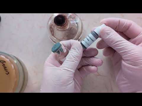 Видео: Відновлення нітратів у нітрити, дифтерія.