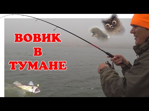 Видео: Судак На Дону Осенью ▶ Fishing 2023 | #Vovabeer