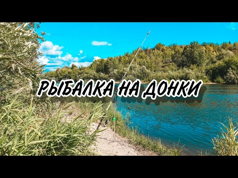 Видео: Потрясающие места для рыбалки на Донки. Искитим Река Бердь
