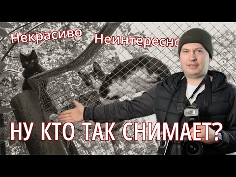 Видео: Твои снимки недостаточно хороши