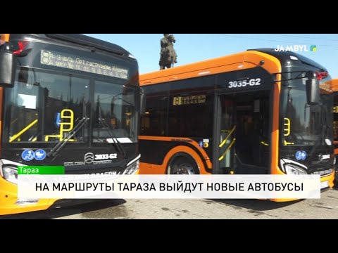 Видео: На маршруты Тараза выйдут новые автобусы