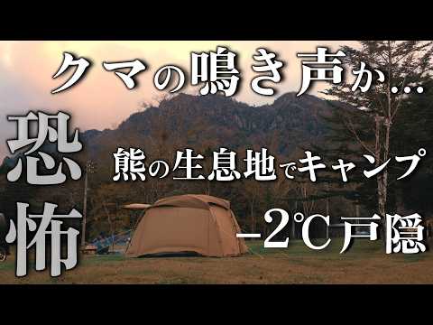 Видео: Зимний кемпинг с собакой, в морозную погоду, бушкрафт