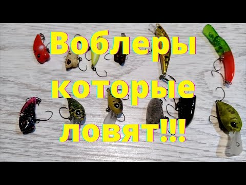 Видео: ОБЗОР НА ЯПОНСКИЕ ВОБЛЕРЫ ОТ КОМПАНИЙ WALKEIN, MUKAI И NORIES!!!