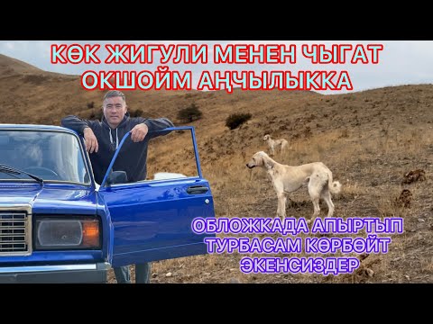 Видео: ӨТКӨН ВИДЕОДО УНЧУКПАЙ КӨРГҮЛӨ ДЕСЕМ, КАПА БОЛГОНДОР БАР ЭКЕН