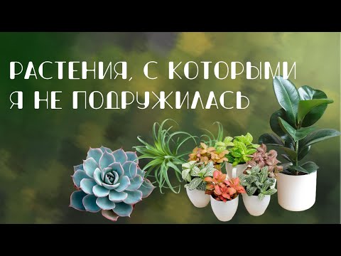 Видео: Растения, с которыми я не подружилась.