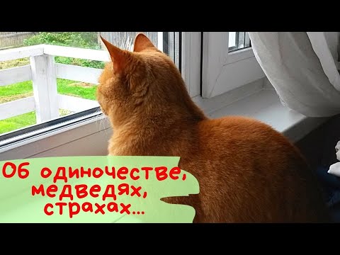 Видео: Отвечаю на ваши вопросы | Вопросы от подписчиков канала