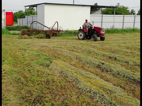 Видео: Грабли ГВК 6 в деле. Сгребаю сено, 2го укоса.