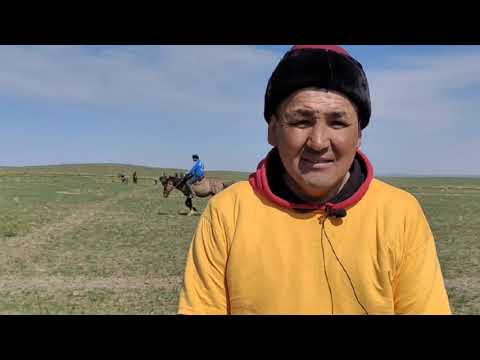 Видео: Садовое ауылы. Осакаров ауданы, Қарағанды облысы. Көкпар. Арқан тарту. ЕКІНШІ БӨЛІМ. 2022 жыл