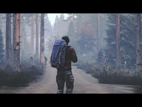Видео: DayZ ГОНЯЕМ КЕПОК НА ВАНИЛКЕ