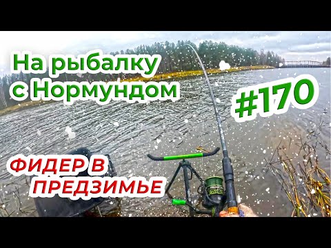 Видео: Предзимний фидер на канале / На рыбалку с Нормундом #170