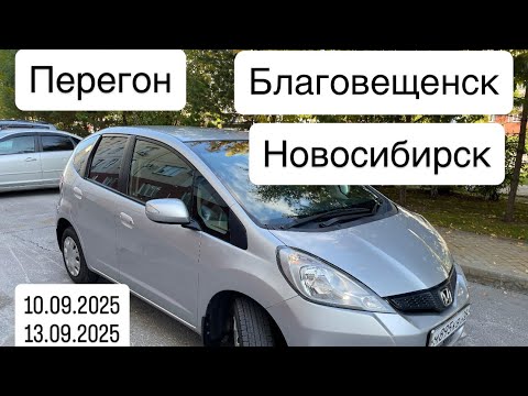 Видео: Перегон Honda Fit из Благовещенска в Новосибирск 10.09.2025-13.09.2025